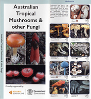 Australian Tropical Mushrooms & other Fungi
